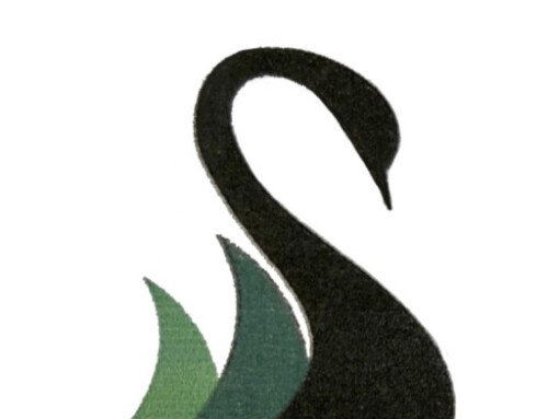 NEWSLETTER JANUARY 2026