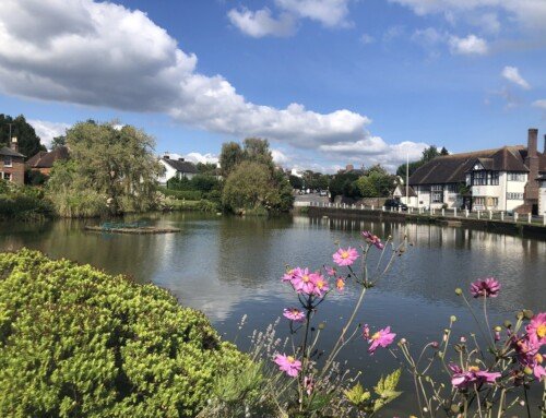 Friends of Lindfield Playgrounds (FLP)